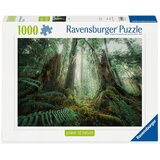 Ravensburger Puzzle (slagalice) - Drveće Cene