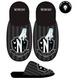 Wednesday HOUSE SLIPPERS OPEN | ePonuda.com