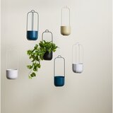 Hübsch Metalne viseće i zidne navlake za tegle u kompletu 2 kom ø 16 cm Lotus – | shoptok.hr