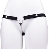Kiotos Male to Female Chastity Plate with Belt Cijene