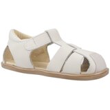 Blanditos COSTABD Siva | shoptok.hr