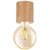 Eglo 901171 - plafonsko svetlo turialdo 1xE27/28W/230V | Eponuda.com