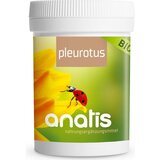 anatis Naturprodukte pleurotus goba Bio | Shoptok.si