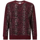 Adidas Majica mešane barve / bordo | Shoptok.si