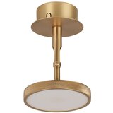 UMAGE LED točkovno svetilo v zlati barvi ø 12 cm Asteria Spot – | Shoptok.si