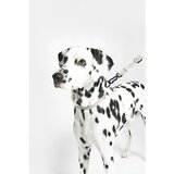 MiaCara Bež ovratnica velikosti M/L dolžina 35 cm Modena Greige M/ML – | Shoptok.si
