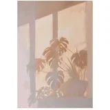 Tiskana slika na platnu 70x100 cm Sunlit –