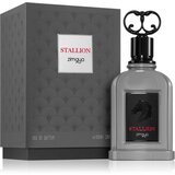 Zimaya Stallion parfumska voda za moške 100 ml | Shoptok.si