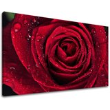  Slike na platnu cveće (moderne slike na platnu) | ePonuda.com