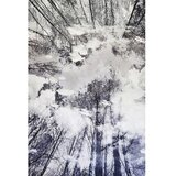 Conceptum Hypnose tepih Hmnt787, 80x120cm, šareni | Eponuda.ba