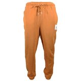 Nike Hlače Air Jordan Essentials Statement Kostanjeva Cene