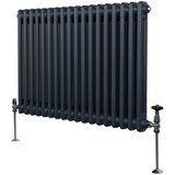 Monster Tradicionalni radiator z 2 stolpcema - 600 x 832 mm - antracitno siva, (21569946) | Shoptok.si
