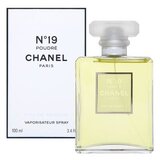 Chanel No.19 Poudré parfumirana voda za ženske 100 ml | Shoptok.si