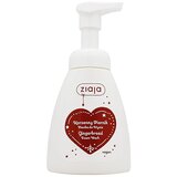 Ziaja gingerbread Cene