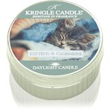 Kringle Candle Kittens & Cashmere čajna sveča 42 g | Shoptok.si