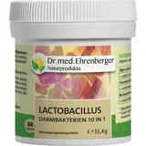 Dr. med. Ehrenberger - bio in naravni izdelki Lactobacillus crijevne bakterije 10u1