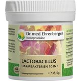 Dr. med. Ehrenberger - bio in naravni izdelki lactobacillus darmbakterien 10v1 Cene