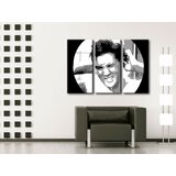  Ručno slikane slike na platnu pop art elvis (umetnicke slike) Cene