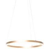 QAZQA Design viseča svetilka zlata 60 cm z LED 3 stopenjskimi zatemnitvijo - Anello Cene