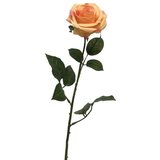 Dekordom cvet rosa dijon 64cm 12172-4 - peach - nnt ( 040044 ) Cene