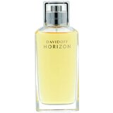 Davidoff parfem Horizon Edt 125ml | ePonuda.com
