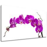  Slike na platnu cveće (moderne slike na platnu) | ePonuda.com