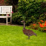 Atelier Del Sofa dekorativna figura goose -a 01, 64x44 cm, 1.5 mm | ePonuda.com