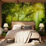  Foto tapeta - In a Secret Forest 250x175 Premium | shoptok.hr