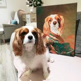  Fotografija na platnu Pet Portrait General_1 - 40x50 cm | shoptok.hr