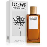 Loewe Pour Homme toaletna voda za muškarce 100 ml | shoptok.hr