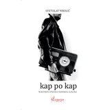 Svetislav Nikolić - Kap po kap: rokenrol epizoda inđijskog slikara