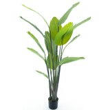 Dekordom 52052 Drvo u saksiji strelitzia palm 187cm -1 - nnt ( 040070 ) Cene