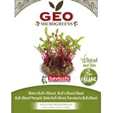 BIO kalčki "Mangold Bull's Blood" - 200 g Cene