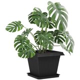  Saksije za biljke 24 pcs Crna 43 x 43 x 33,5 cm Plastika | shoptok.hr