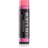 Burt's Bees balzam za usne s pigmentima u boji - Pink Blossom Cijene