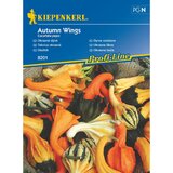 KIEPENKERL Okrasna buča Autumn Wings Kiepenkerl (Cucurbita pepo) | Shoptok.si