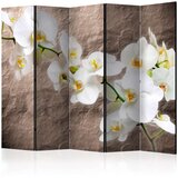  Paravan u 5 dijelova - Impeccability of the Orchid II [Room Dividers] 225x172 | shoptok.hr