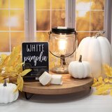 Milkhouse Candle Co. Farmhouse White Pumpkin vosek za aroma lučko 155 g | Shoptok.si