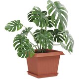  Saksije za biljke 6 pcs Crvena cigla 23 x 23 x 17,5 cm Plastika | shoptok.hr