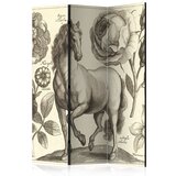  Paravan u 3 dijela - Horse [Room Dividers] 135x172 | shoptok.hr