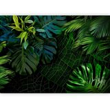  Foto tapeta - Dark Jungle 500x350 | shoptok.hr