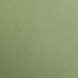 Clairefontaine kartoni Maya khaki A4/270gr 1/25 | shoptok.hr