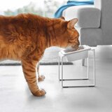 YAMAZAKI Keramička posuda s postoljem za kućne ljubimce Nooks – | shoptok.hr