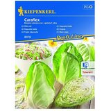 KIEPENKERL Profi-Line Sjeme povrća Kupus Caraflex (Brassica oleracea var. capitata f. alba, Berba: Lipanj) Cijene