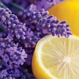Yankee Candle Lemon Lavender mirisna svijeća Signature 110 g | shoptok.hr