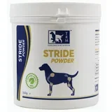 Stride Powder - 500 g