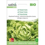 Sativa Glavnata solata "Attraktion" Cene