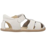 Blanditos COSTABD Siva | shoptok.hr