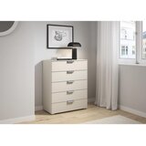CARRYHOME KOMODA, barve šampanjca | Shoptok.si