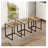 Hanah home Set 3 stočića Dublin Natural Cene
